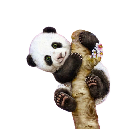 Paint By numbers for Adult